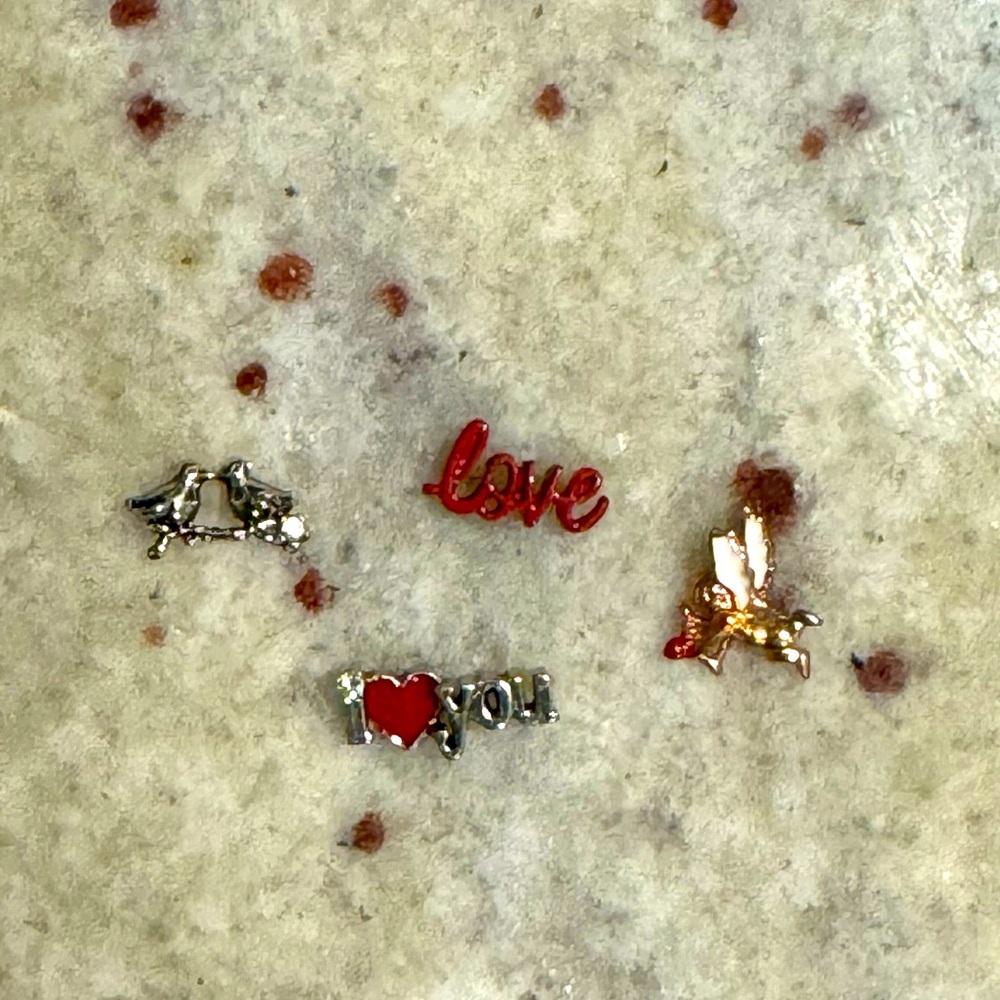 🚨2/$10‼️Origami Owl Valentines Day Charms Set 💘